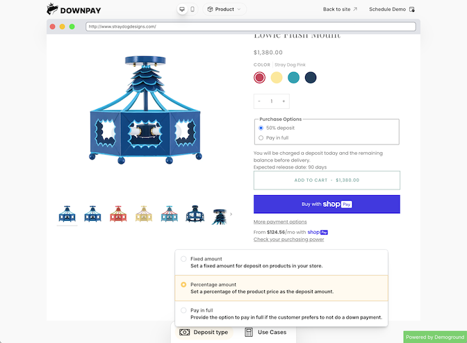 Screenshot of Downpay app